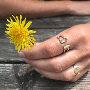 Ilumina double band double gemstone ring